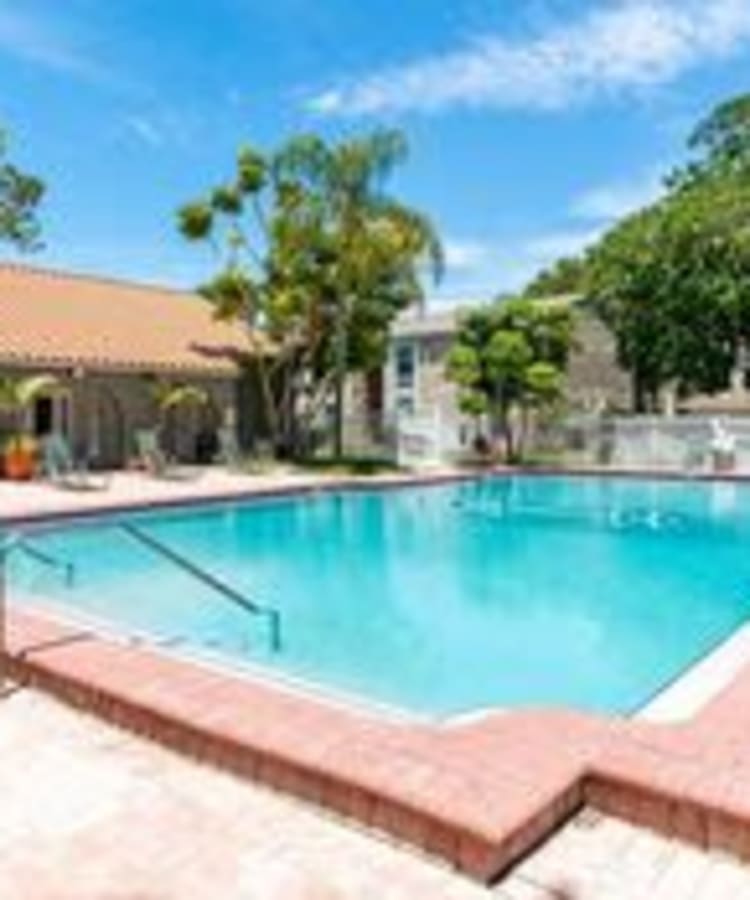 Community inground pool at Garden Grove in Sarasota, Florida