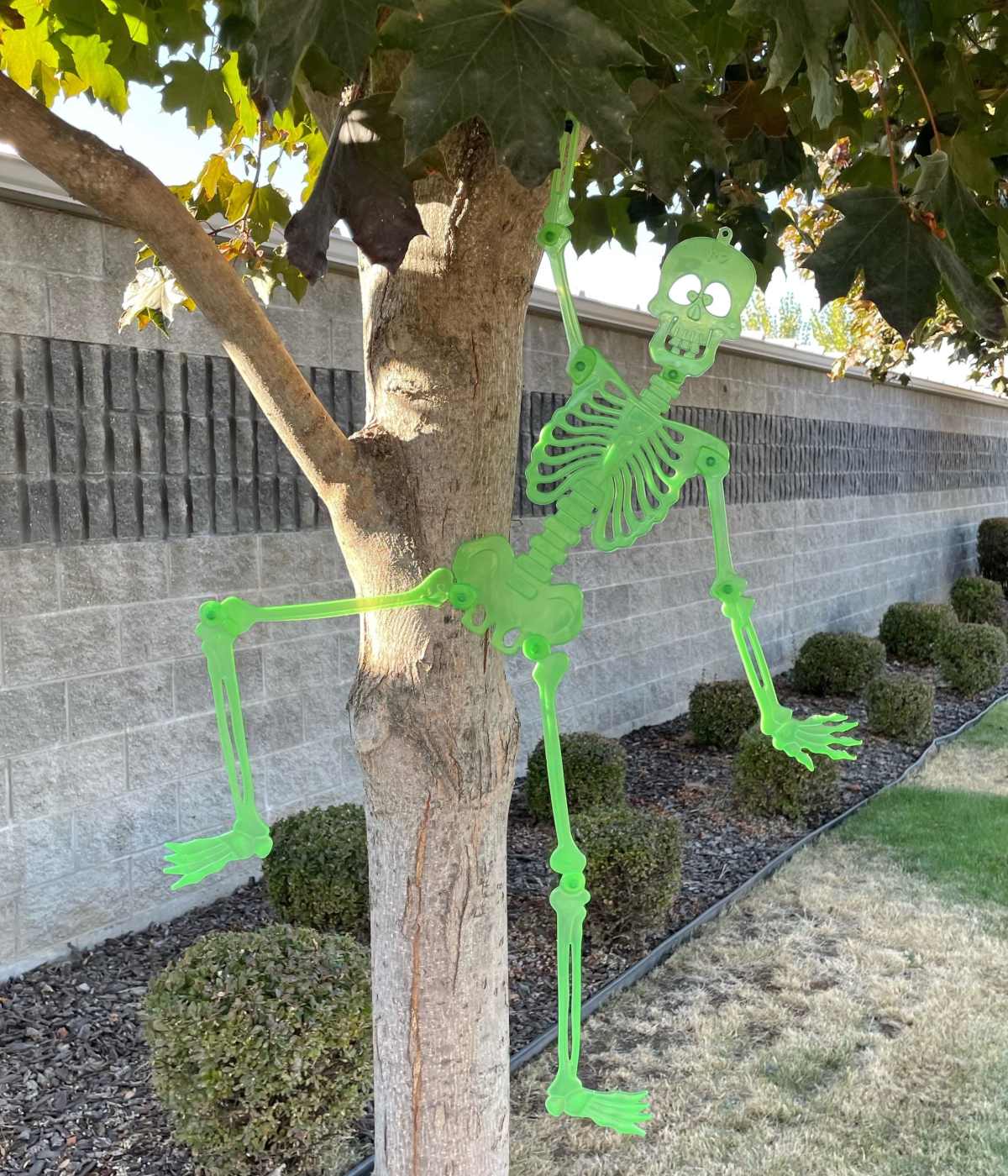 Cascade Self Storage in Medford, Oregon, Privacy Policy