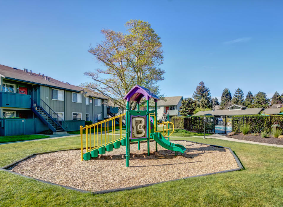 Onsite children's playground on a gorgeous day at Vue Fremont in Fremont, California