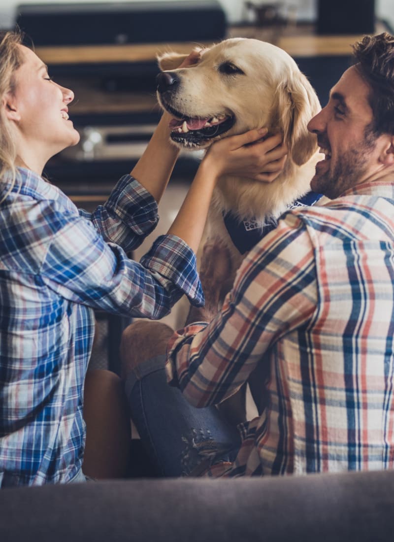 Two pets maximum per apartment at Marquis Midtown District in Atlanta, Georgia