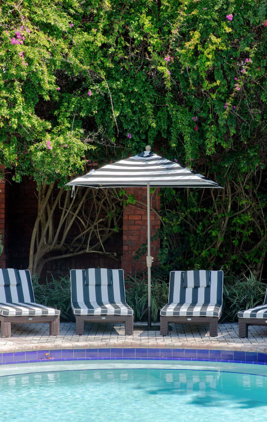 swimming pool lounge chairs at The Social in Lutz, Florida