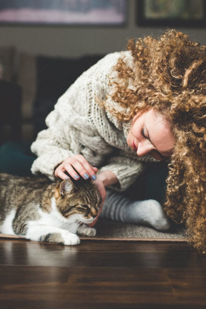 Resident petting her cat in their apartment at Market Flats in Bethlehem, Pennsylvania