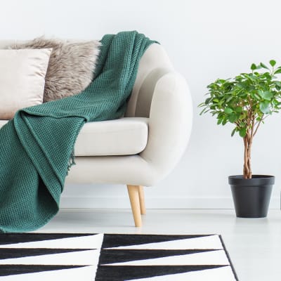 Minimalist decor in the living space of a model home at The Landmark Apartment Homes in Sunnyvale, California