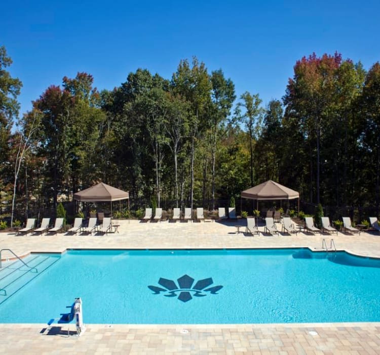 Pool and lounge chairs at Latitude at Mallard Creek in Charlotte, North Carolina