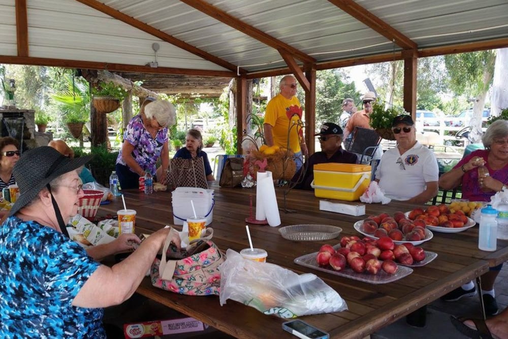 Castle Vista Senior Duplex Community having a community picnic in Atwater, California