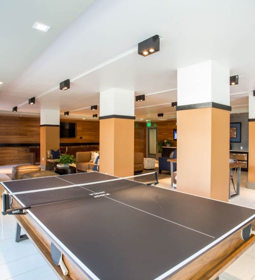 Amenities at Franklin 299 in Redwood City, California 