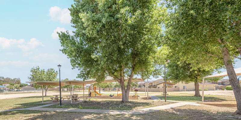 A dad with her daughter and dog at park near Adobe Flats I in Twentynine Palms, California