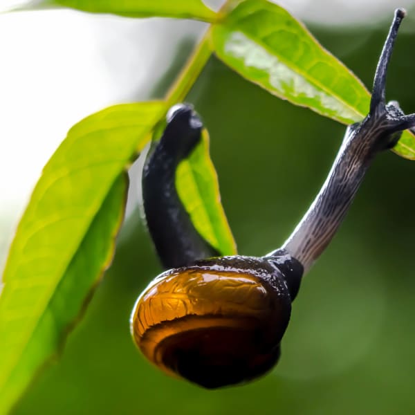 Photograph by Aju Jacob