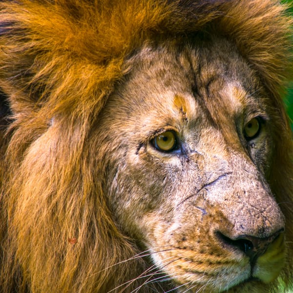 Photograph by Aju Jacob