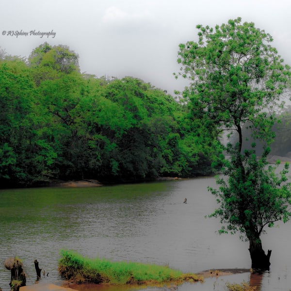 Photograph by Aju Jacob