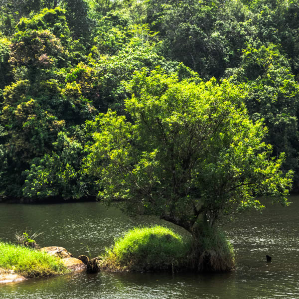 Photograph by Aju Jacob