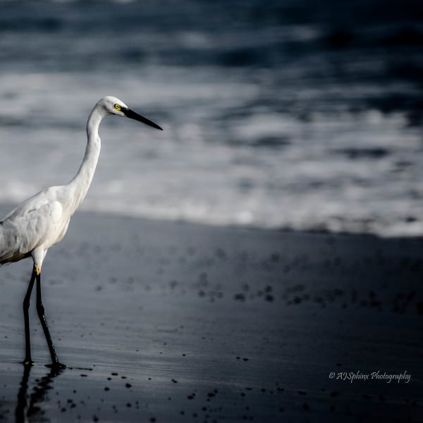 Photograph by Aju Jacob