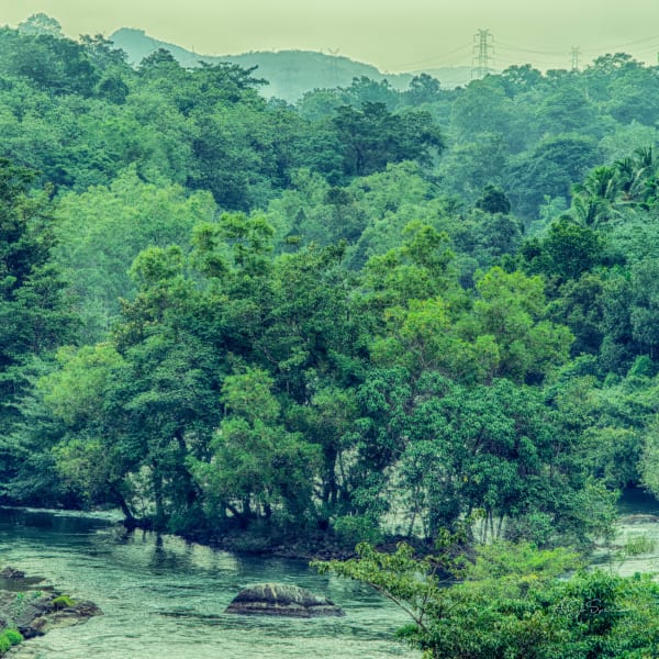 Photograph by Aju Jacob