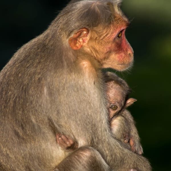 Photograph by Aju Jacob