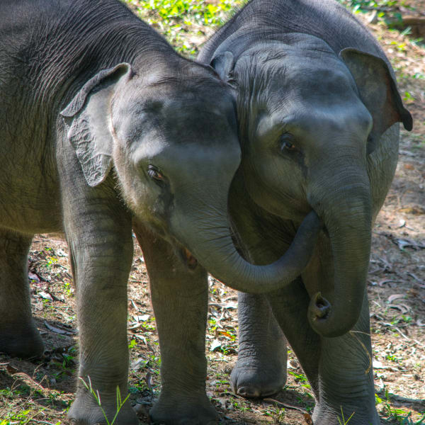 Photograph by Aju Jacob