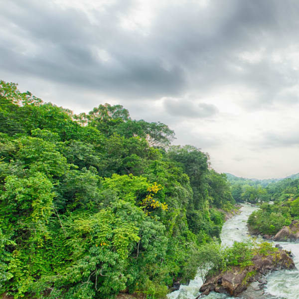 Photograph by Aju Jacob