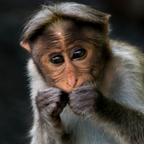 Photograph by Aju Jacob