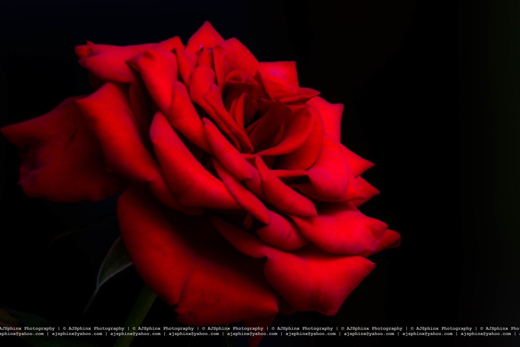 Photograph by Aju Jacob