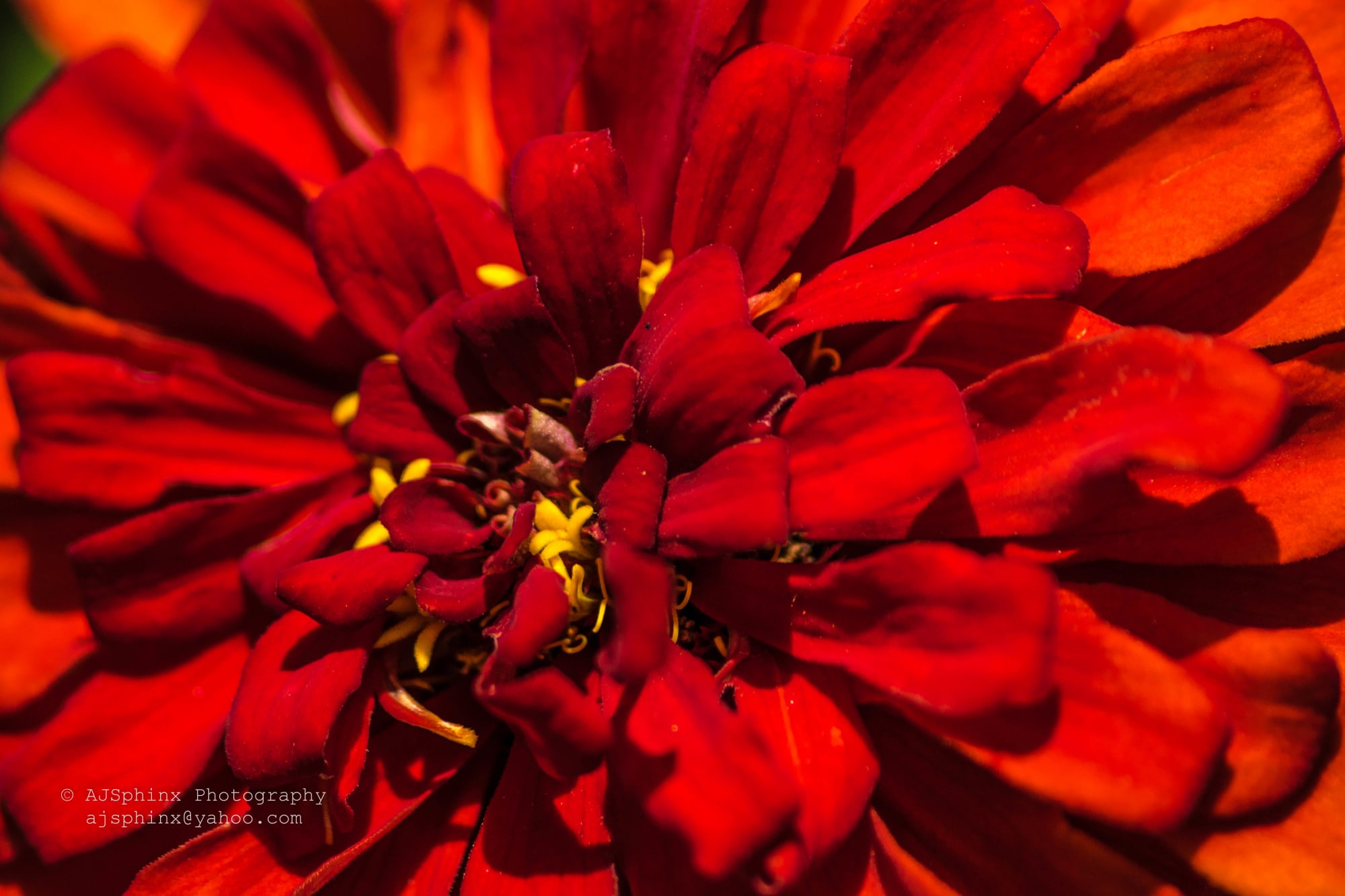Photograph by Aju Jacob