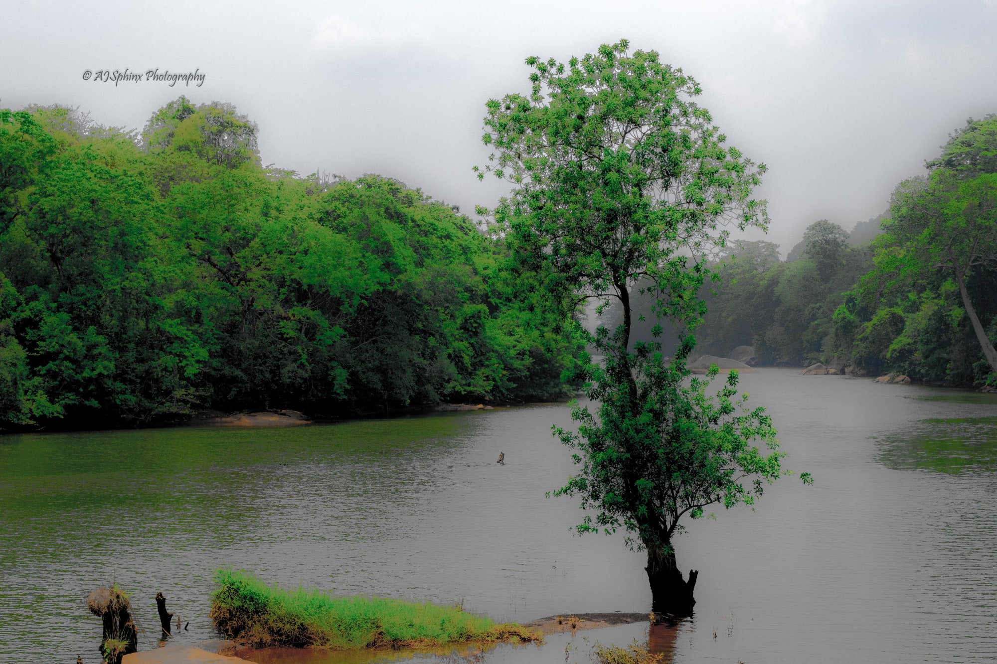 Photograph by Aju Jacob