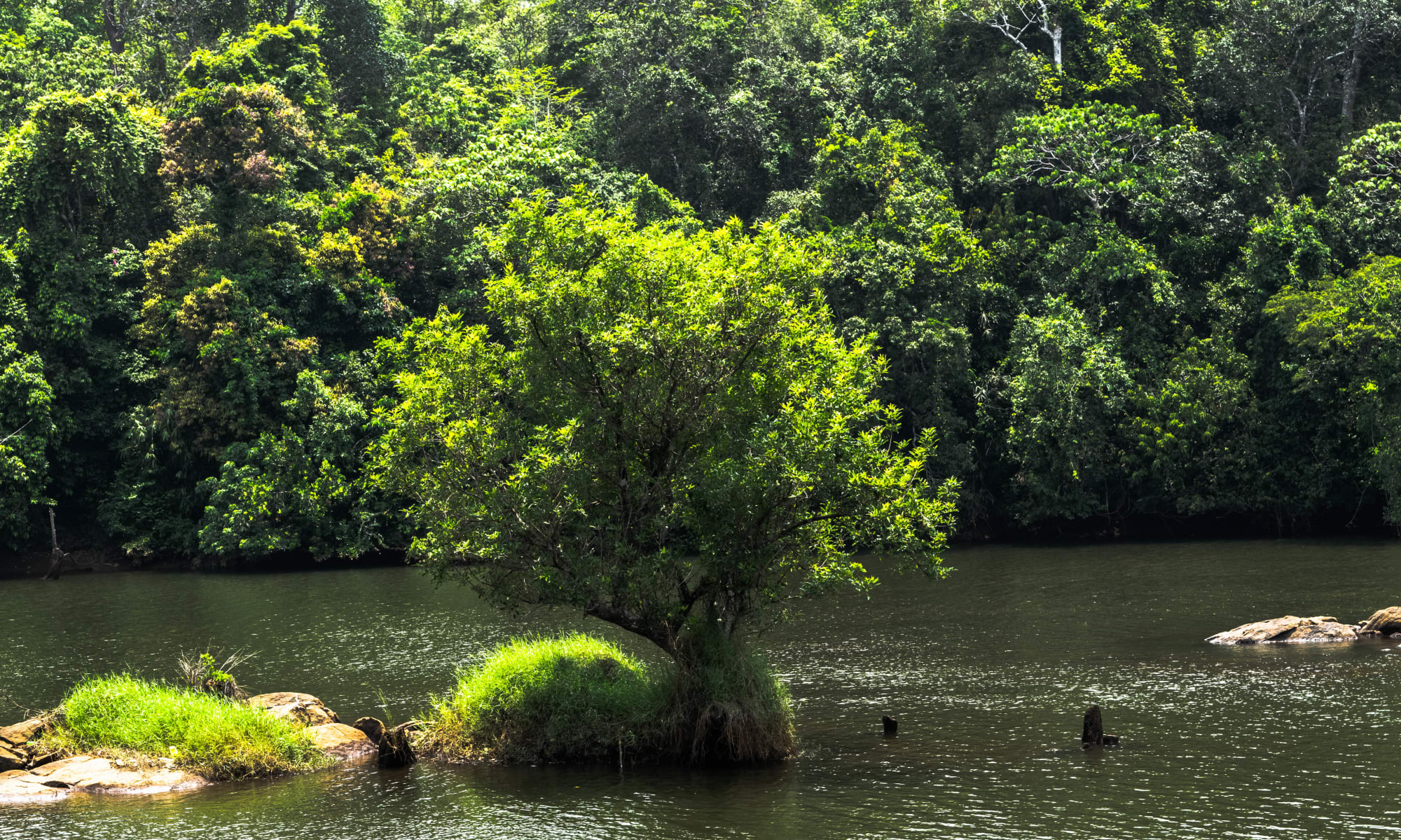 Photograph by Aju Jacob