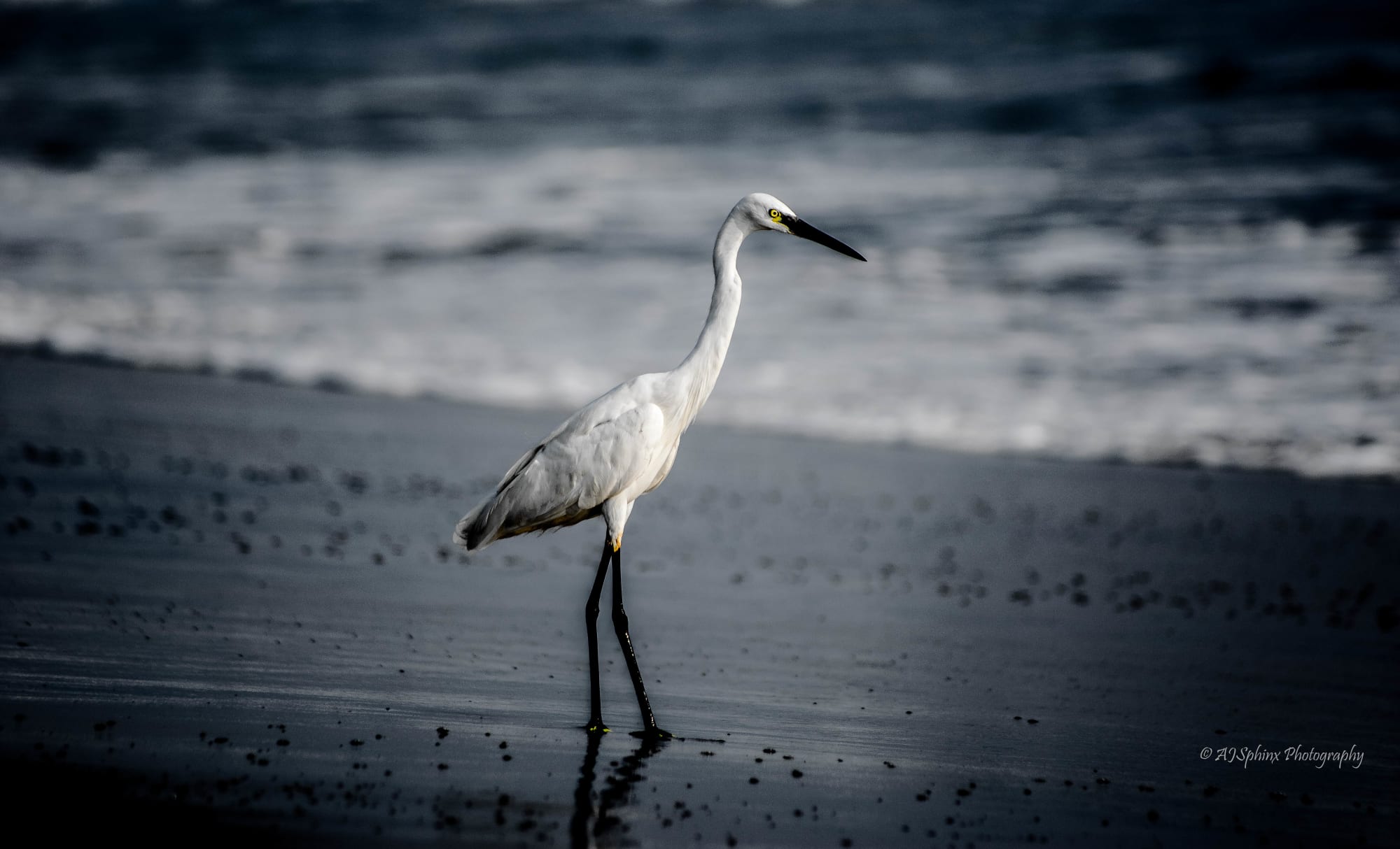 Photograph by Aju Jacob