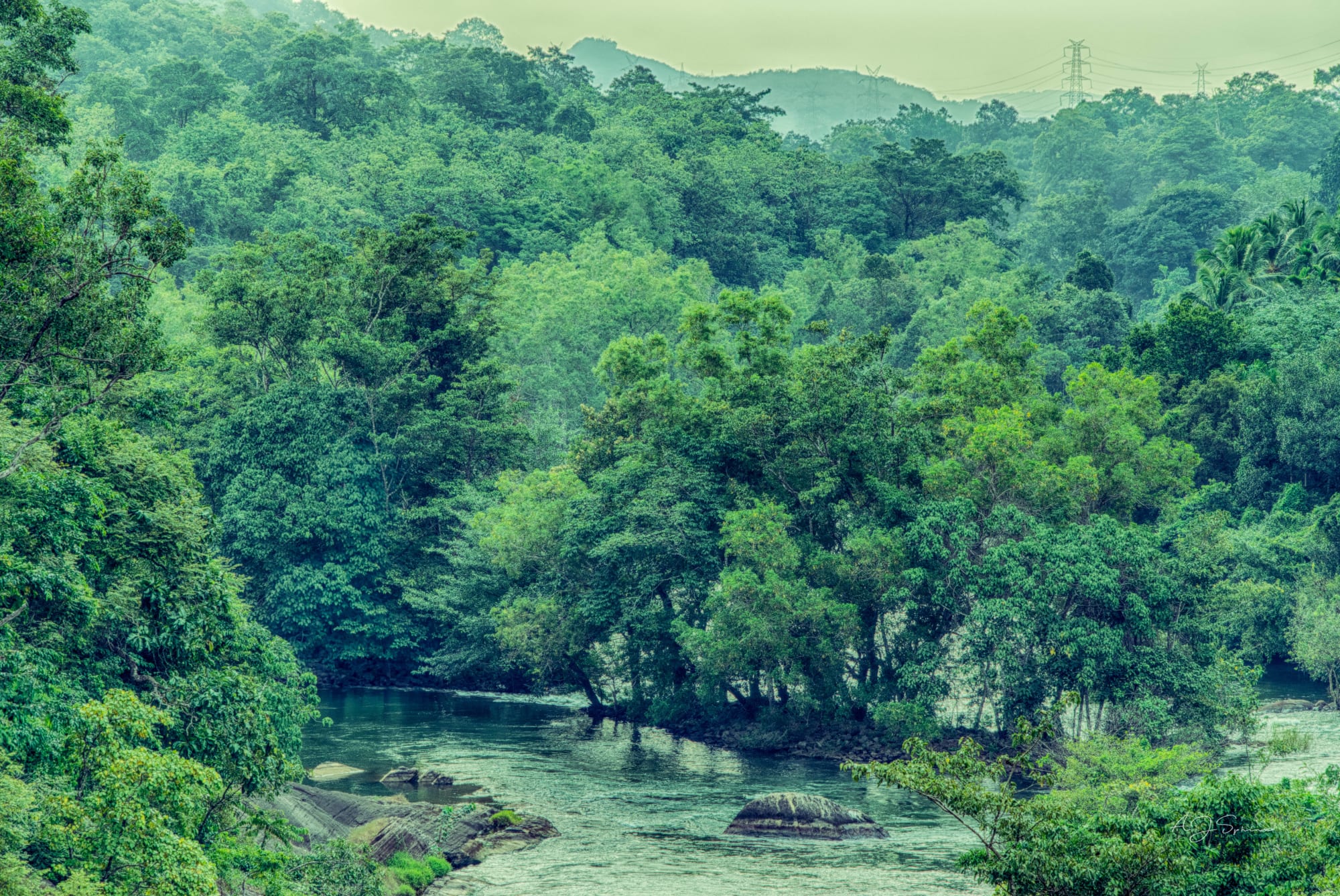 Photograph by Aju Jacob
