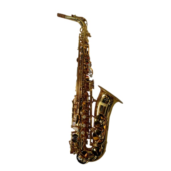 SAX ALTO TEMPO SX-300
