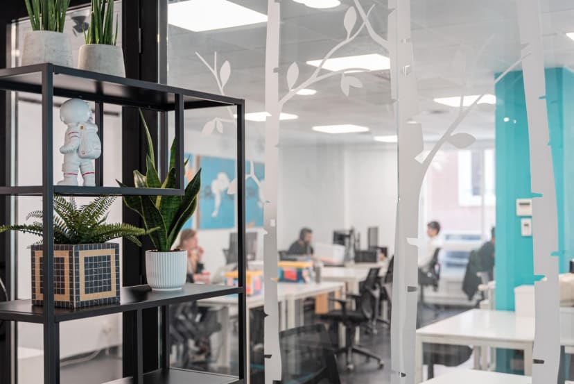 JUNGLE Room at OXYGEN Workspace | Gable