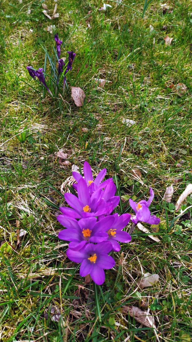 Little trip along river Neidernach / Schellbach Rock Tumbling Hobby