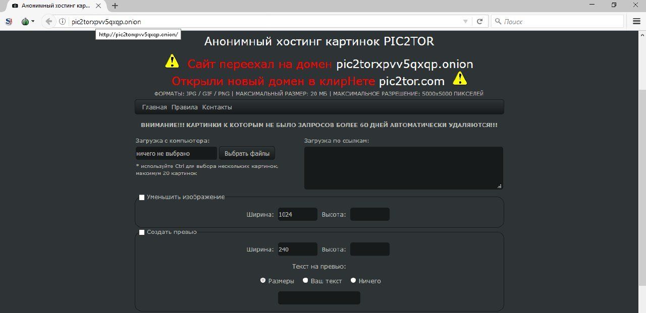 скачать браузер тор на пк торрентом гидра скачать браузер тор на пк торрентом гидра