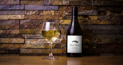 Order Trout Valley Pinot Gris Online - Shanikas Berwick