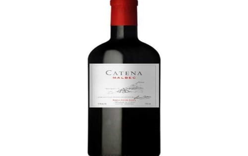 Order Bodega Catena Malbec Online - Demo Restaurant Front 2