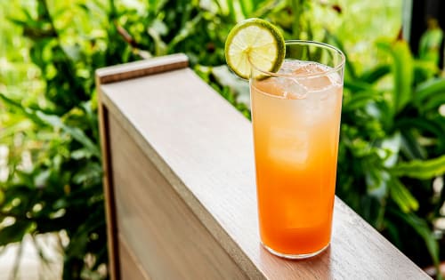 Buy Delicious Lemon Lime & Bitters Online | Cathlys Kitchen