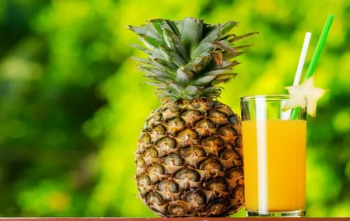 Order Pineapple Juice Online - Demo Restaurant Front 2