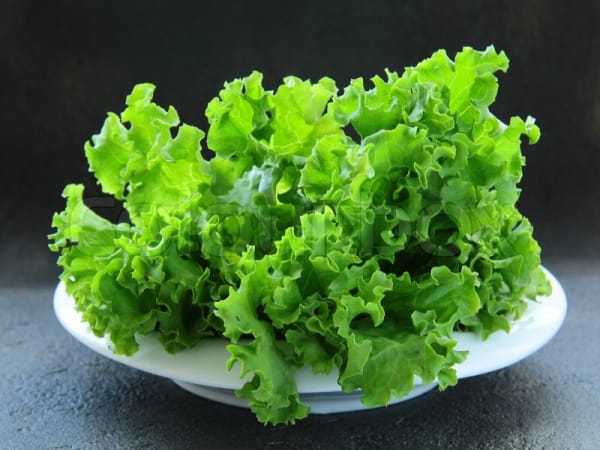 Order Lettuce Online - Mexico City Cantina