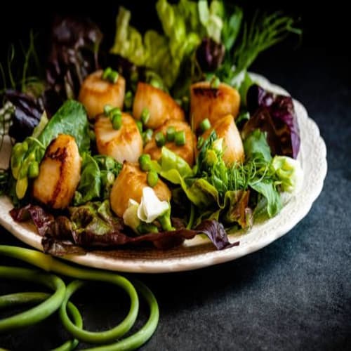 Scallop Salad