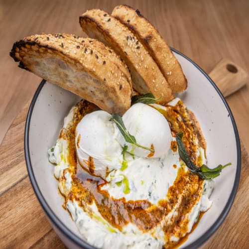 Order Cilibir Eggs (V/GFO) - Matilda's