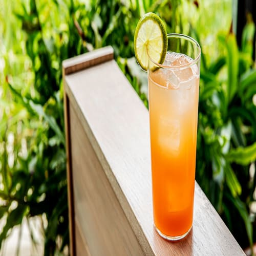 Order Lemon Lime Bitter Online - Tawa - The Indian Griddle house