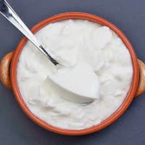 Order DAHI Online - Indian Bombay Bistro