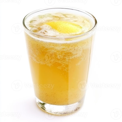 Chilled Indian Soda – Desi Fizz Drink | Punjab Kitchen Indian Cuisine