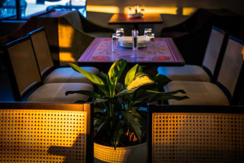 Planning a Celebration? Top Indian Party Venues in Raleigh & Durham