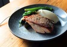 TASMANIAN SALMON