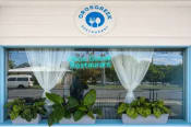Best Greek Restaurant in Brisbane: Where to Enjoy Authentic Greek Cuisine
