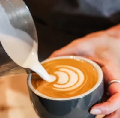 How to Create the Perfect At-home Coffee Experience Using Our Blends | Mocha Mojo