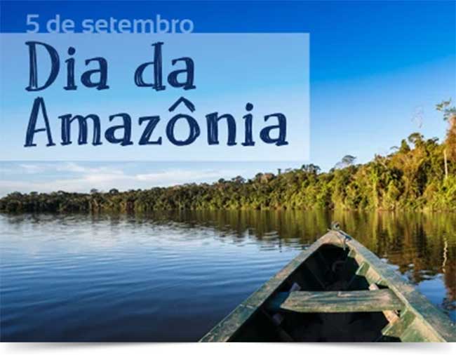 Regiões da Amazônia já atingiram ponto de não retorno, afirma pesquisadora  - Revista Galileu