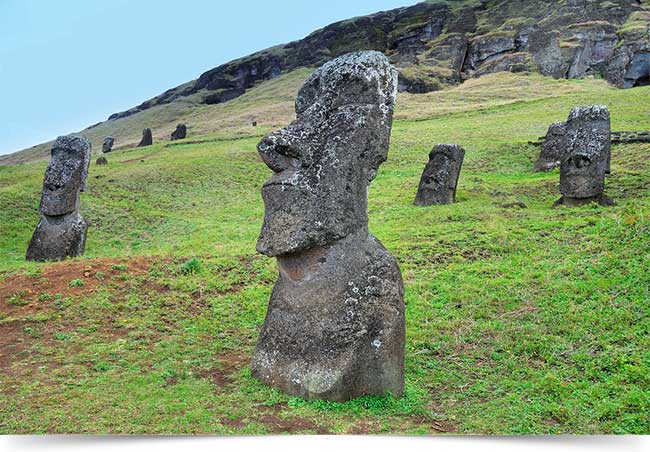 Animais de fazenda realista estatuetas brinquedo fingir jogar