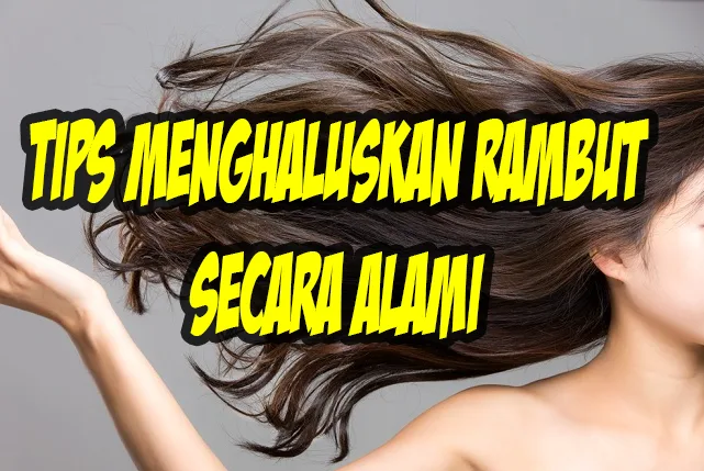 Tips Menghaluskan Rambut Secara Alami Tips Menghaluskan Rambut Secara Alami
