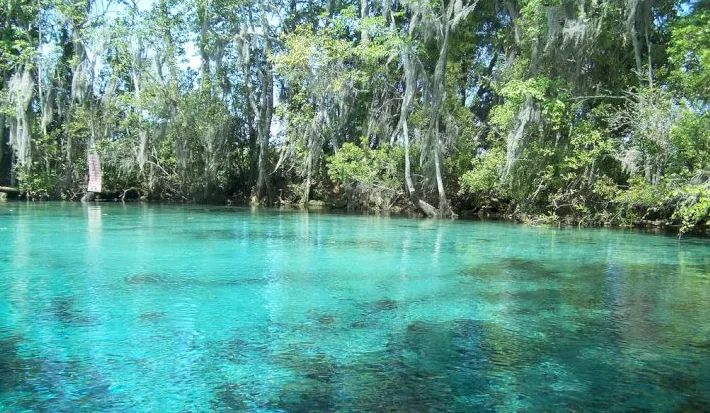 Crystal River Crystal River