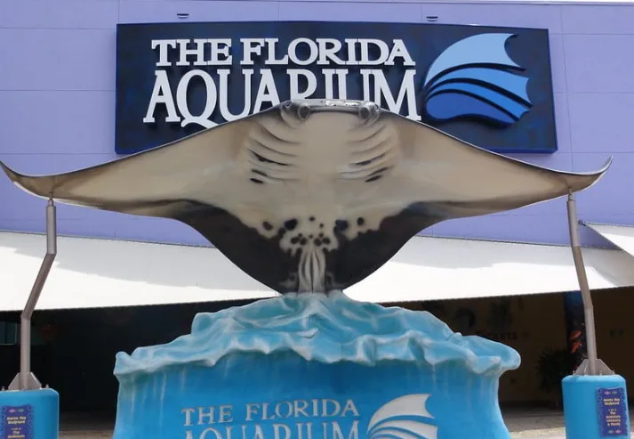 The Florida Aquarium The Florida Aquarium